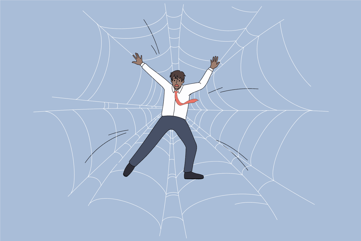 Worried husband trapped atop spider web
